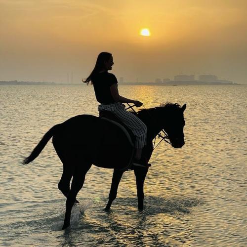 Bahrain Horse Riding Sunset Tour